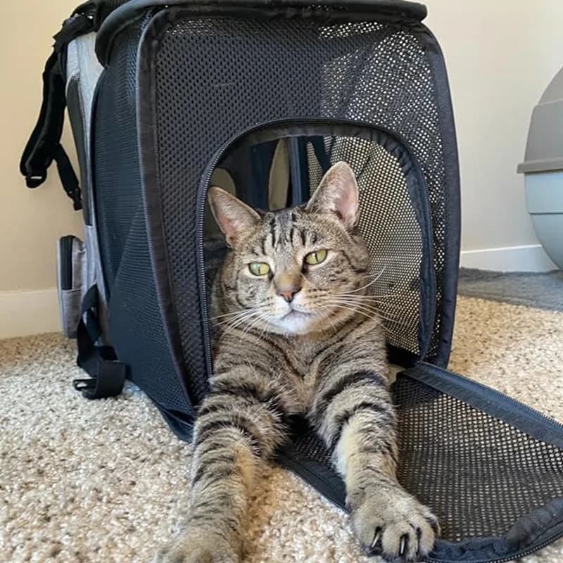 Pet supplies Scalable household outing, large capacity breathable dog bag, portable and foldable cat backpack - image 3