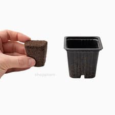 Root Riot Propagation Cubes for Cuttings & Seedlings | Pick Quantity - image 3