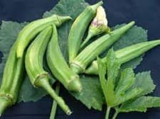 Premium Okra - Clemson Spineless Organic Heirloom - Most popular okra variety!