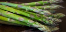 Asparagus Seeds, UC 157 F2, Hybrid, Most Popular Planting Asparagus, FREE SHIP - image 2