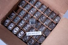 IN-12B Nixie Tubes NEW TESTED NOS xUSSR Excellent Condition 6 PCS SET - image 3