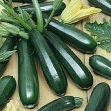 Premium Black Beauty Zucchini Seeds.  Fresh Organic Seeds.  Most Popular Ever!