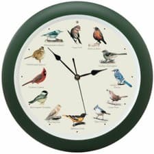 The Original Singing Bird Hanging Wall Sound Clock, 13 Inch, Green